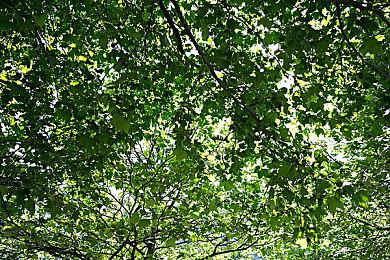 《缺氧》新DLC“寒霜行星包”公布 Steam页面上线