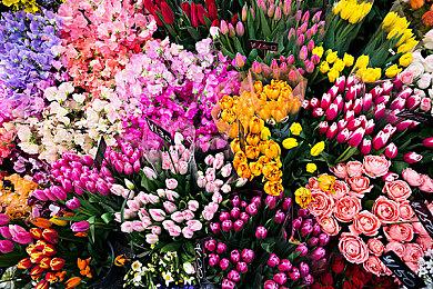 《吸血鬼：避世血族2》10月21日发售 Steam国区238元